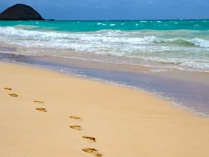 Yoga Nidra To Calm Your Mind