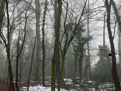 Yoga Nidra To Connect To The Energy Of The Winter Solstice