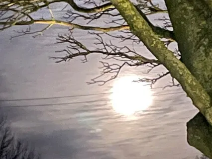 Yoga Nidra To Connect To Universal Light