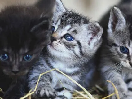 Yoga Nidra To Connect With Playfulness