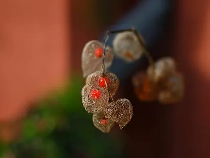 Yoga Nidra To Connect With The Core Of Who You Are