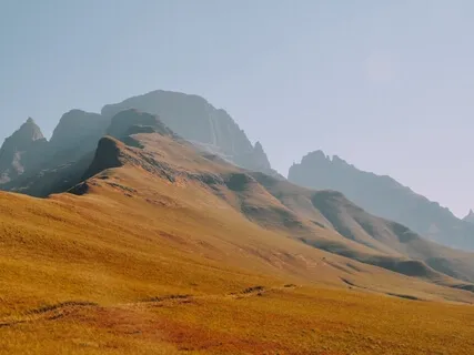 Yoga Nidra To Connect With The Heart