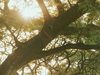 Yoga Nidra To Connect With Your Inner Light