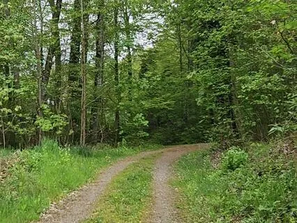 Yoga Nidra To Cultivate Mindfulness And Inner Peace