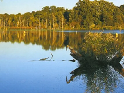 Yoga Nidra To Ease The Heart