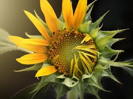 Yoga Nidra To Embrace Love 