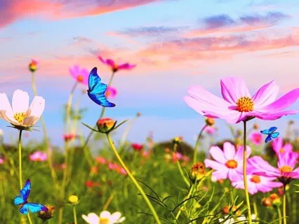 Yoga Nidra To Embrace Your Freedom