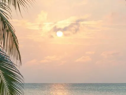 Yoga Nidra To Energize And Heal