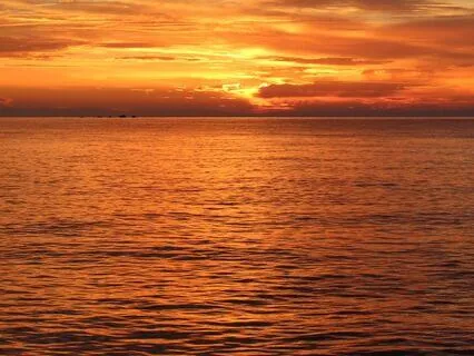 Yoga Nidra To Fall Asleep In 5 Minutes