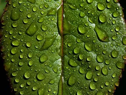 Yoga Nidra To Feel Refreshed, Nourished And Connected!