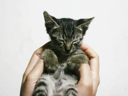 A Yoga Nidra Practice For Feeling Safe