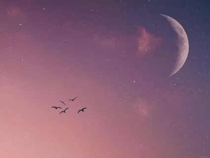 Yoga Nidra To Find Safety Within Yourself