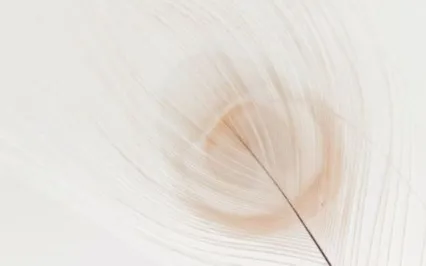 Yoga Nidra To Find Your Inner Safety