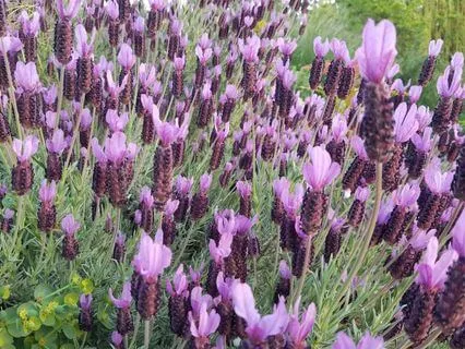 Yoga Nidra To Help You Feel More Abundance (No Music)