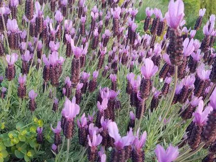 Yoga Nidra To Help You Feel More Abundance - (With Music)