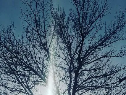 Yoga Nidra To Listen