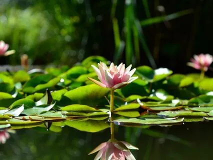 Yoga Nidra To Melt Your Stress