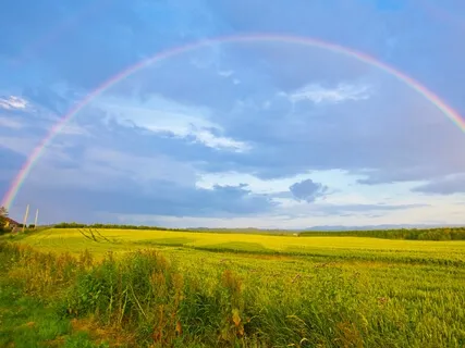 Yoga Nidra To Overcome Anxiety And Improve Sleep - Rainbow