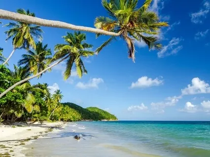 Yoga Nidra To Quiet The Mind (With Music)