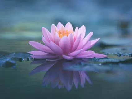 Yoga Nidra To Re-Energise