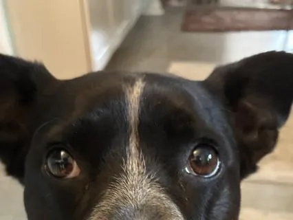 Yoga Nidra To Reclaim Confidence