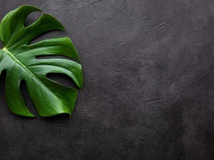 Yoga Nidra To Reduce Stress + Anxiety