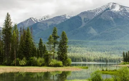 Yoga Nidra To Relax & De-Stress 