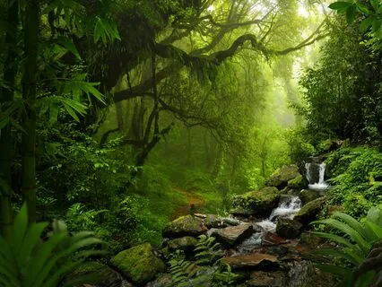 Yoga Nidra To Relax And Restore