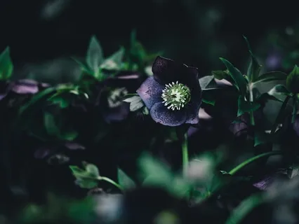 Yoga Nidra To Relax And Sleep- “I Am Whole And Complete”