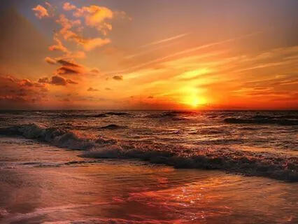 Yoga Nidra To Relax The Nervous System