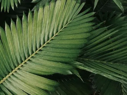 Yoga Nidra To Release Body Tension