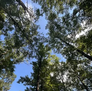 Yoga Nidra To Relieve Anxiety And Sleep Well