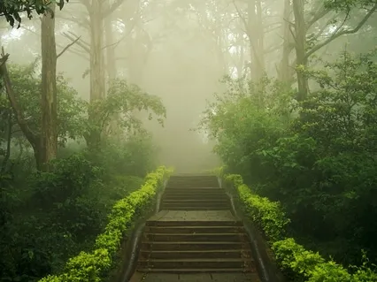 Yoga Nidra To Relieve Brain Fog & Invite In Clarity