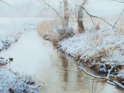 Yoga Nidra To Replenish The Kidneys