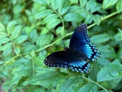 Yoga Nidra To Reset Your Nervous System