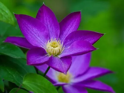 Yoga Nidra To Rest And Restore