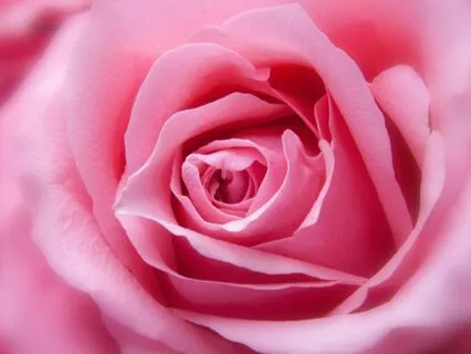 Yoga Nidra To Return To Your True Essence