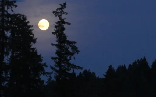 Yoga Nidra To Soothe Anxiety And Fall Asleep