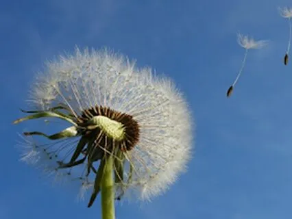 Yoga Nidra To Strengthen Your Breath