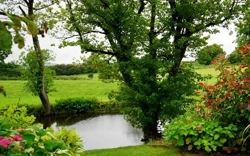 Yoga Nidra To Support Your Sankalpa