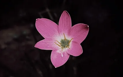 Yoga Nidra To Unwind And Release (Music)