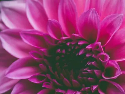 Yoga Nidra To Welcome And Release Emotion