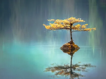 Yoga Nidra: Tranquility