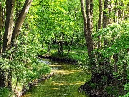 Yoga Nidra - Transformation