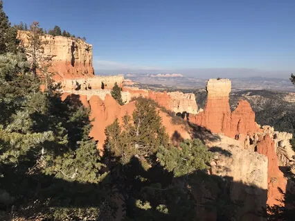 Yoga Nidra (Under 15 Minutes)