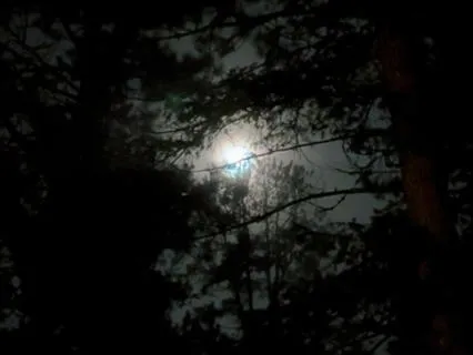 Yoga Nidra Under The Blue Moon