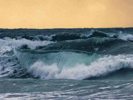 Yoga Nidra Vagus Nerve Stress Relief