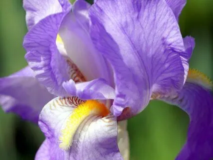 Yoga Nidra Visualization Practice