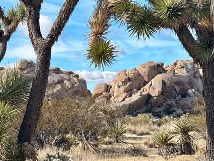 Yoga Nidra Welcome To Increased Calm