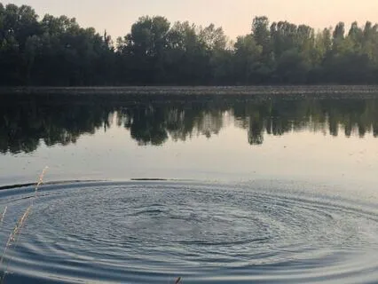 Yoga Nidra | What Do I Need Right Now?